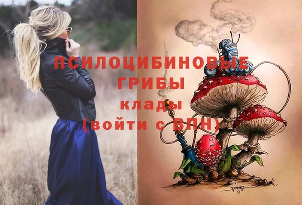 гашик Белоозёрский