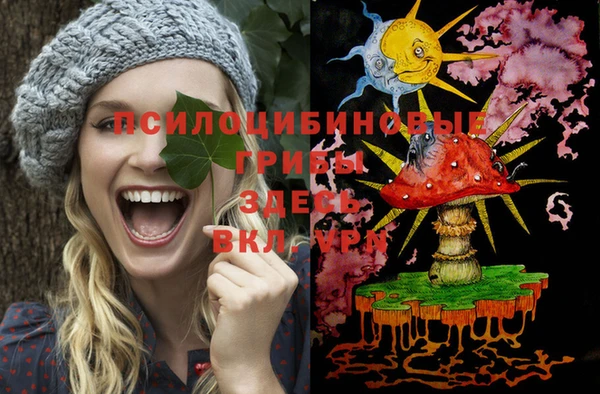 mix Белокуриха