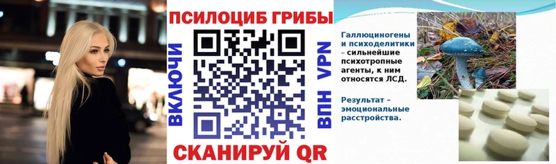 Псилоцибиновые грибы Psilocybine cubensis  Козловка 